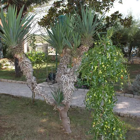 Family Friendly Seaside Novigrad - 7118 Appartamento